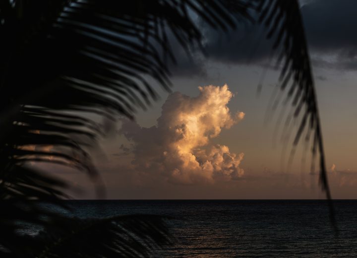 The Caribbean