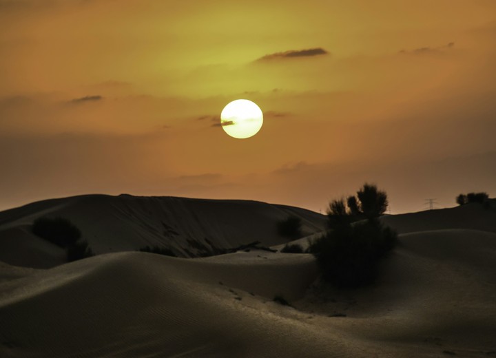 The Desert, Privately