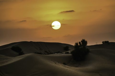 The Desert, Privately