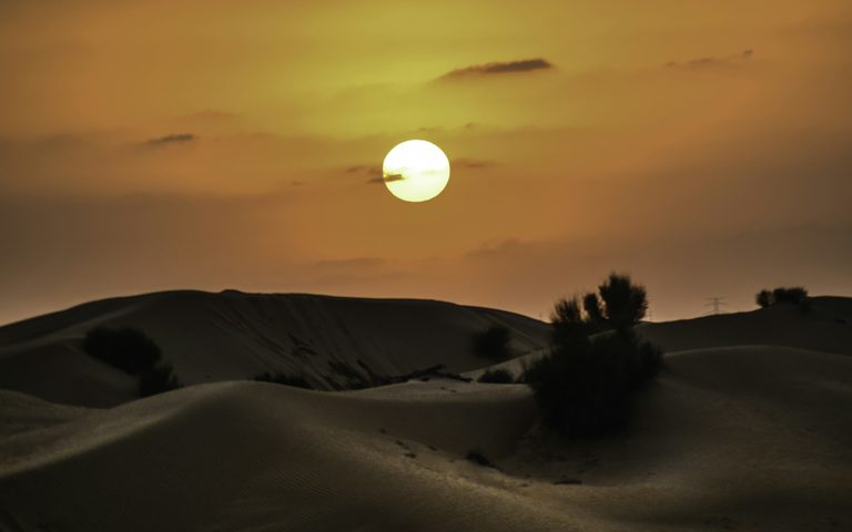The Desert, Privately