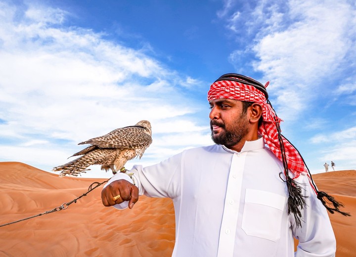 The Falconer's Journey