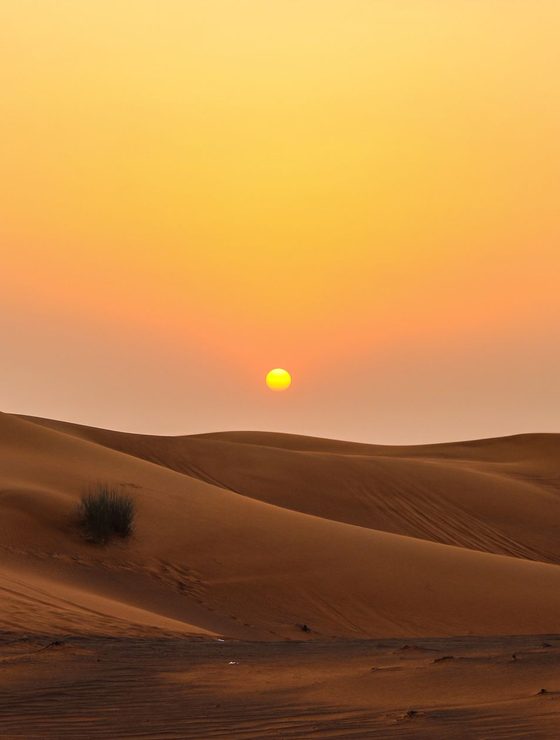 The Empty Quarter