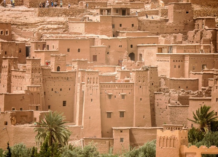Camels & Kasbahs