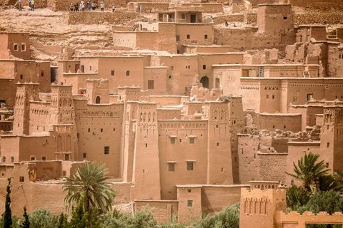 Camels & Kasbahs