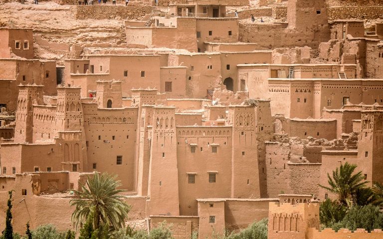 Camels & Kasbahs