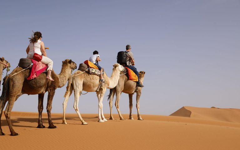 Dunes & Family