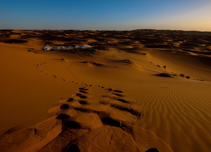 The Desert Honeymoon
