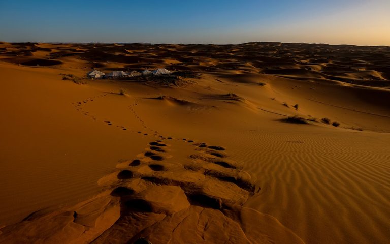 The Desert Honeymoon