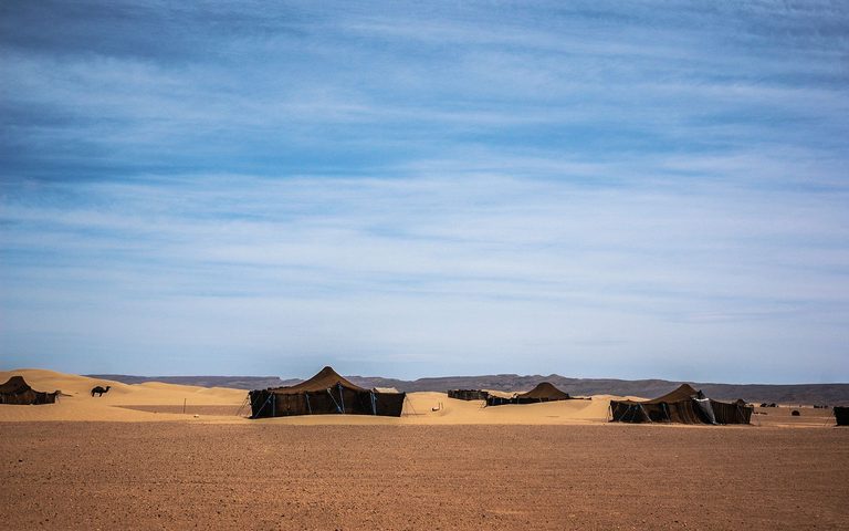 The Desert Camp