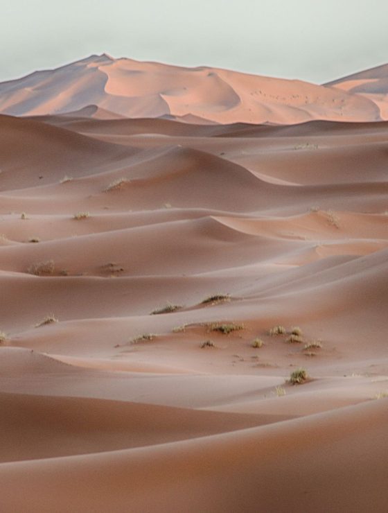 The Sahara