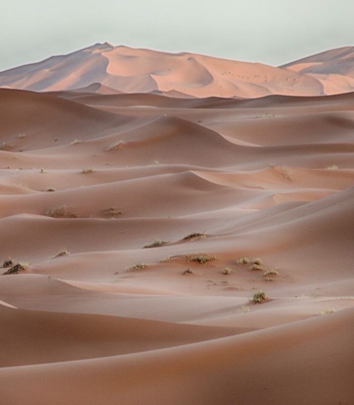 The Sahara — Erg Chebbi · The Great Desert