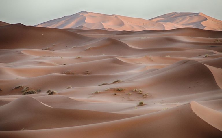 The Sahara — luxury travel by Forest Travel