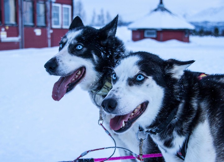 Family in the Snow