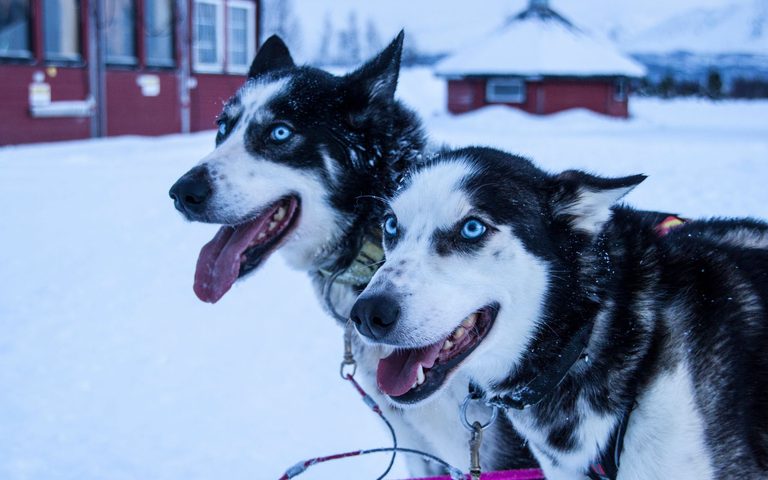 Family in the Snow