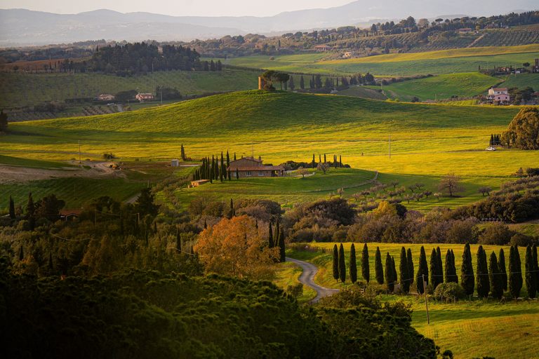 Tuscany & the Italian Table, Privately — luxury travel by Forest Travel