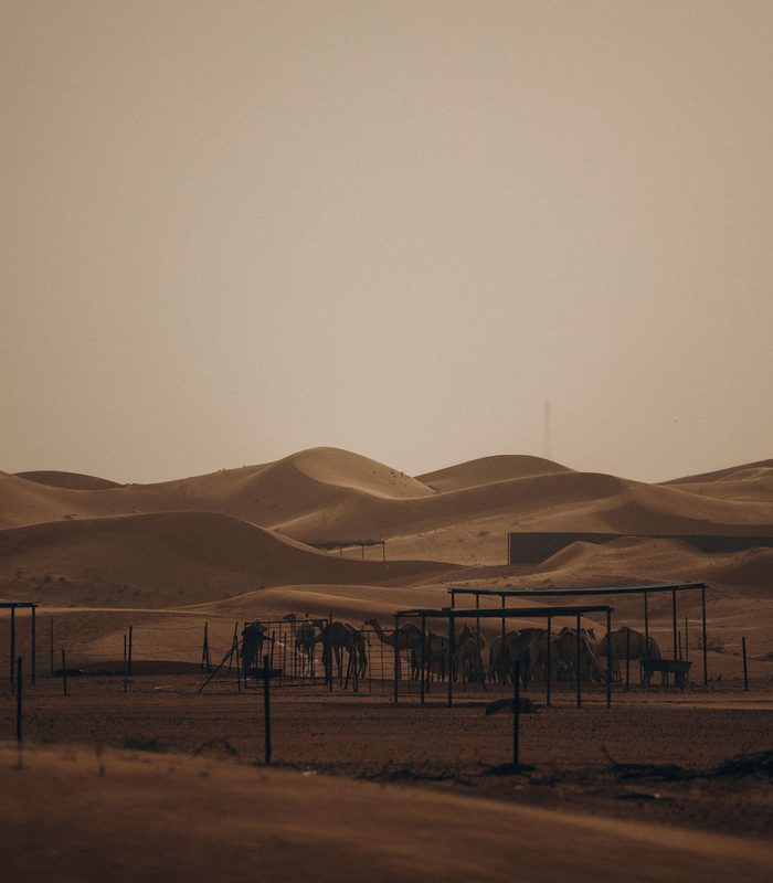 United Arab Emirates — The Arabian Gulf