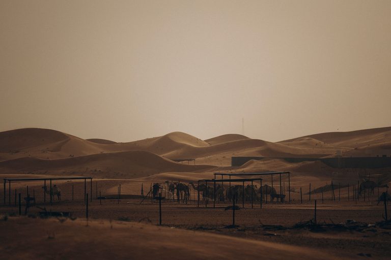 United Arab Emirates — luxury travel by Forest Travel