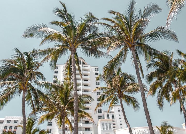 The Bespoke Miami Long Weekend