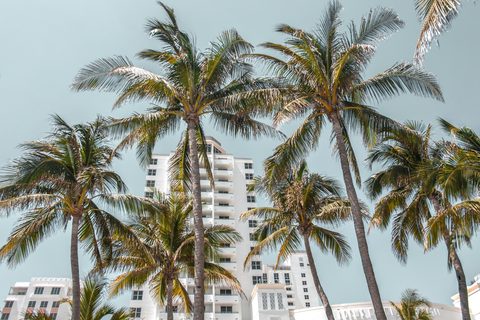 The Bespoke Miami Long Weekend