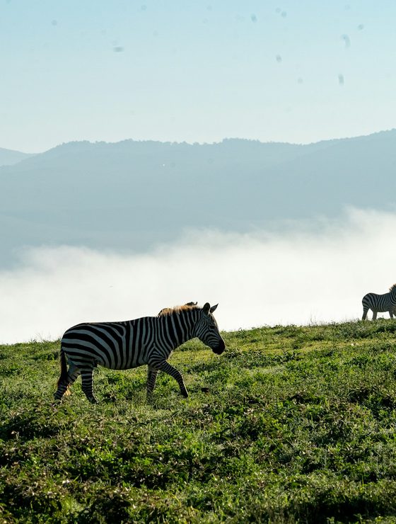 Tanzania