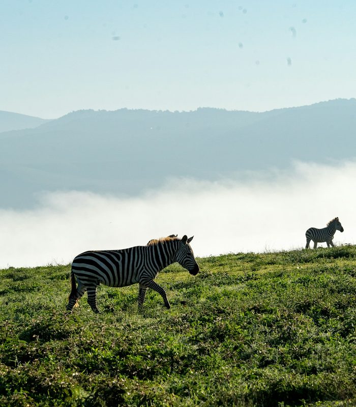 Tanzania — The Serengeti & Ngorongoro