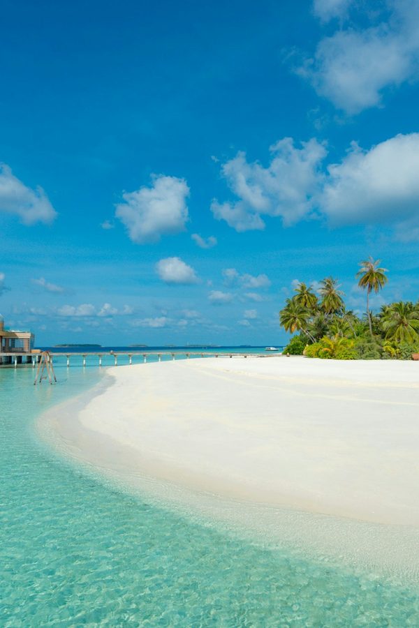 Escape Winter Entirely