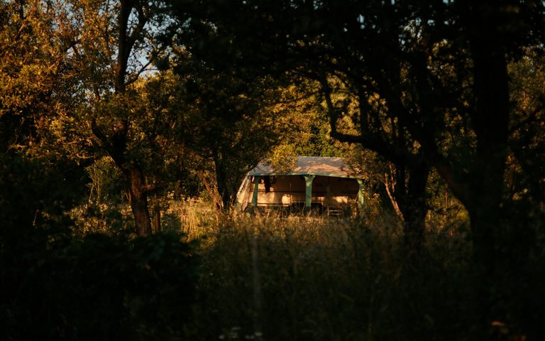 What Is Included in a Luxury Safari — and What Is Not