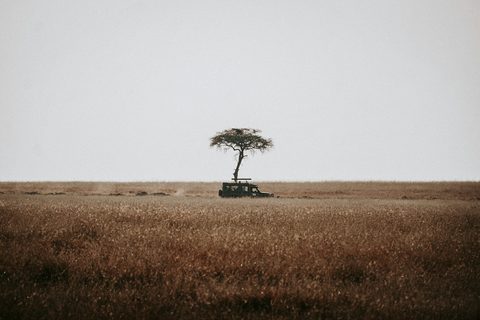 What to Pack for a Luxury Safari: The Checklist, and the Constraint Nobody Mentions