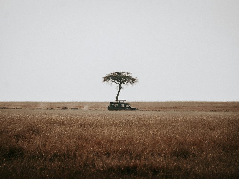 What to Pack for a Luxury Safari: The Checklist, and the Constraint Nobody Mentions