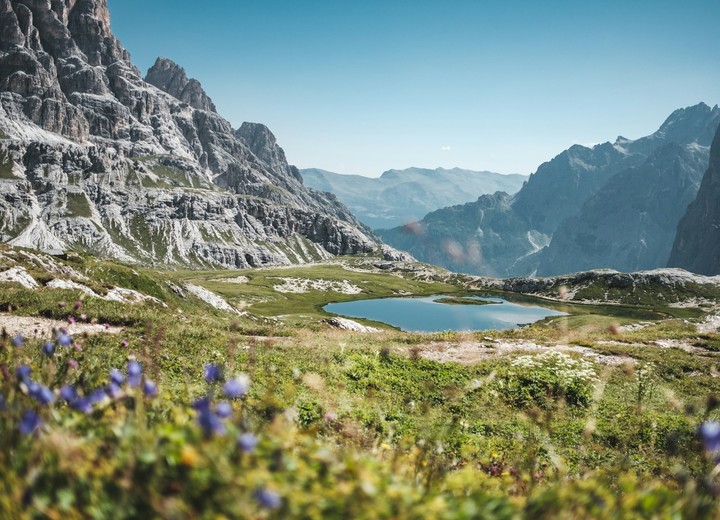 Summer Summits
