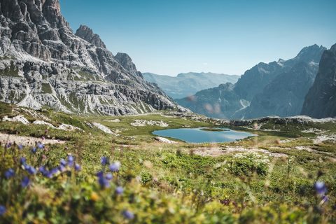 Summer Summits