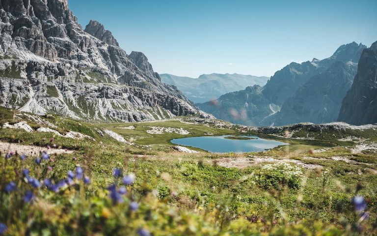 Summer Summits
