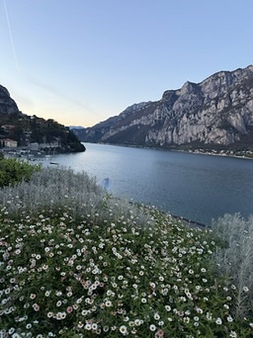 Flower beds above the water on Lake Como