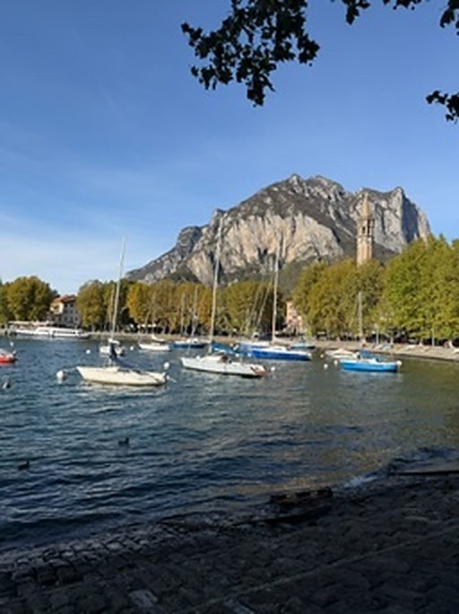 Boats moored on the lakeshore with the mountains behind